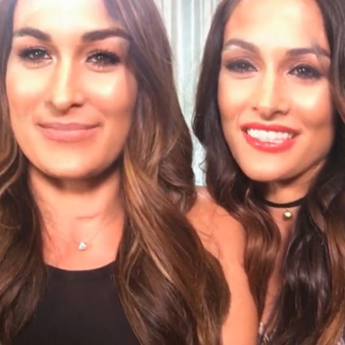 Nikki Bella And Brie Bella Do A Face Swap And The Result Is
